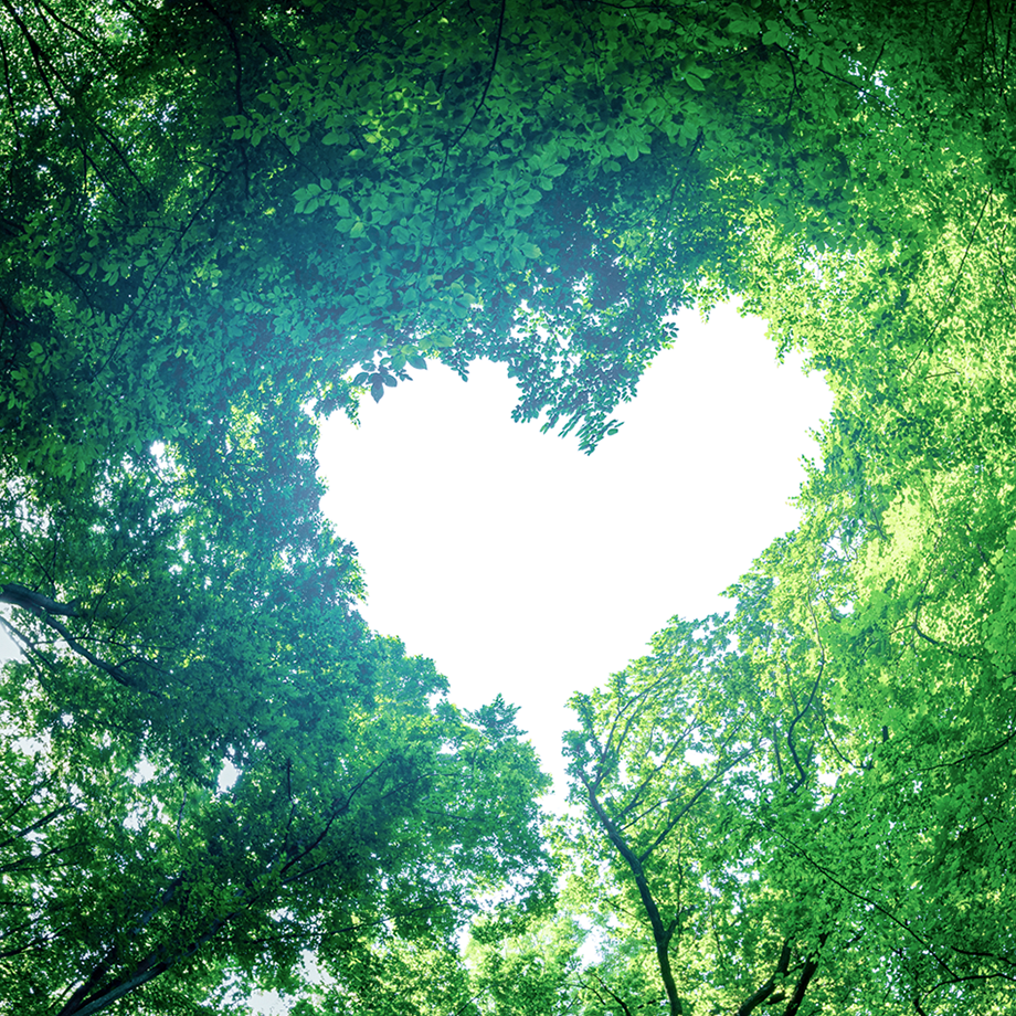 Meo Media Nachhaltigkeit Prinzip „Vermeiden vor Reduzieren vor Kompensieren"